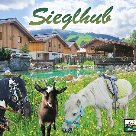 Sieglhub Chalets - Appartements - Hotel Flachau Ngoại thất bức ảnh