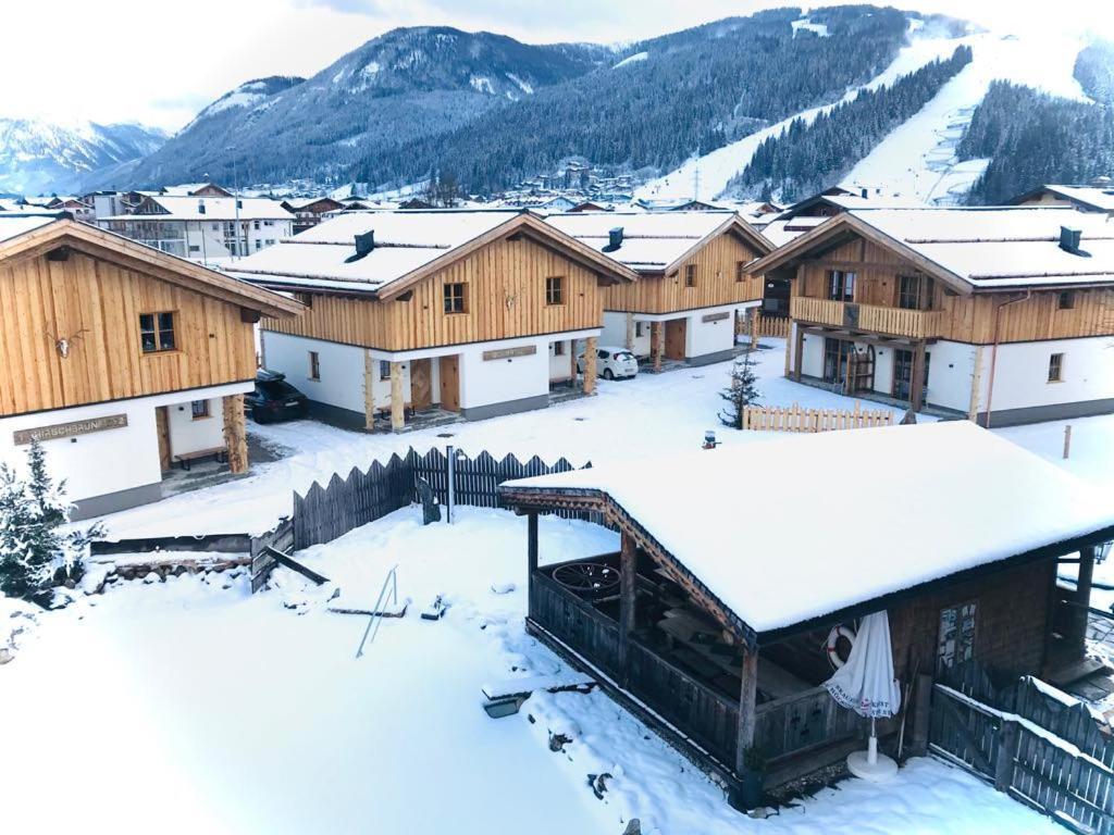 Sieglhub Chalets - Appartements - Hotel Flachau Ngoại thất bức ảnh
